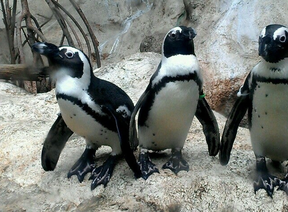 The Florida Aquarium - Tampa, FL