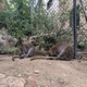 Cheyenne Mountain Zoo