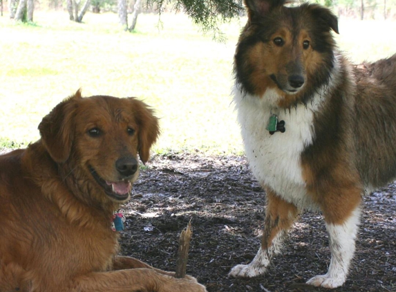 Hahira Veterinary Clinic - Hahira, GA. Wink & Missy