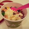 Lexington Fruitee Yogurt gallery