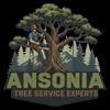 Ansonia Tree Service Experts gallery