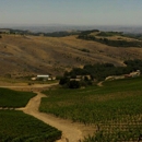 Daou Vineyards - Wineries