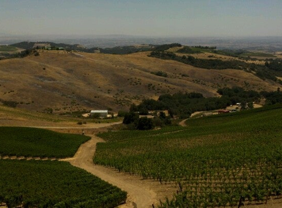 Daou Vineyards - Paso Robles, CA