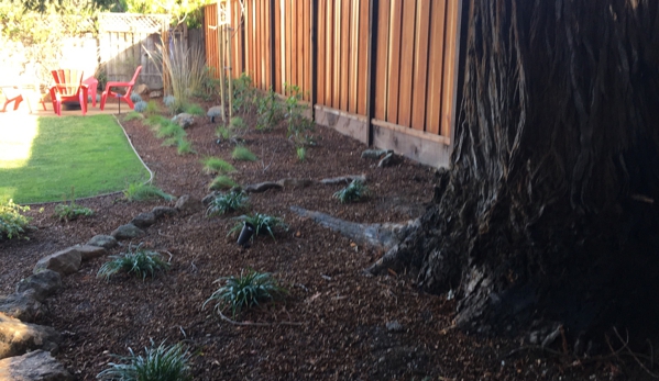 Ernesto's Gardening Services - San Jose, CA