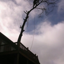 John's Tree Service - Stump Removal & Grinding