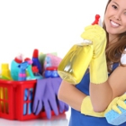 All Cleaning Services