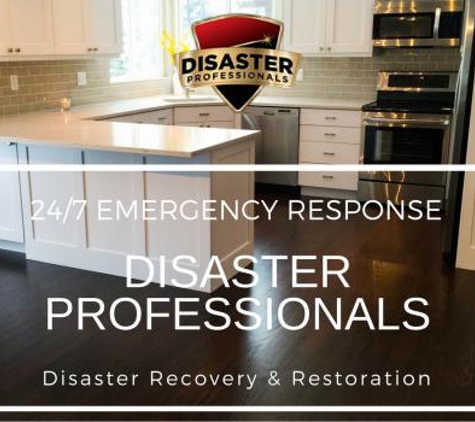 Disaster Professionals - Eagle Mountain, UT