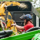 Branch Brothers of Greenville - Arborists