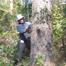 Audubon Land Clearing - Arborists