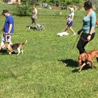 Taking the Lead K9 Training