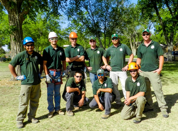 Arborlogical Trees & Turf - Lubbock, TX