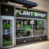 So Fresh Plant Shop gallery