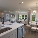 Holland Ridge By Meritage Homes - Home Builders