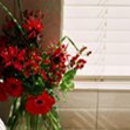 Window Expression - Draperies, Curtains & Window Treatments