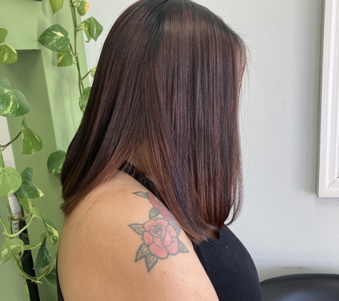 Luminous Dominican Hair Salon - Pembroke Pines, FL