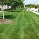 Bee Green Lawn Care & Plant Healthcare Inc - Landscape Contractors