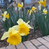 Temple Beth Or Preschool gallery