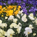 Quality Island Landscaping - Landscape Contractors