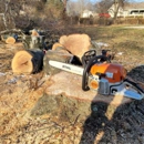 Michiana Tree Service - Tree Service