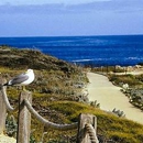 Asilomar Hotel & Conference Grounds - Hotels