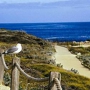 Asilomar Conference Grounds