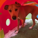 Marcie's Pet Spa - Pet Boarding & Kennels