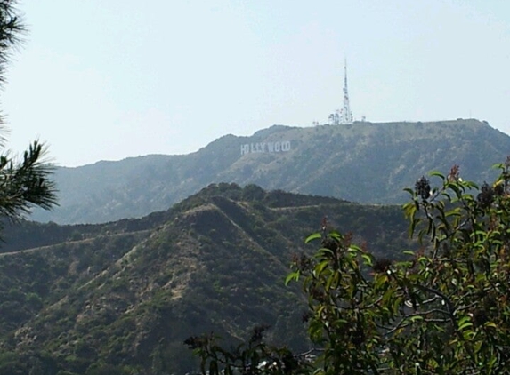 Toyo Griffith Park Florist - Los Angeles, CA