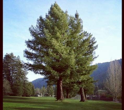 Boulder Creek Golf Club - Boulder Creek, CA