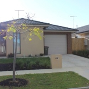 Gallery Image Number 3