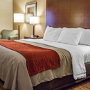 Comfort Inn & Suites Franklin East - Motels