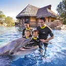 SeaWorld San Antonio - Theme Parks