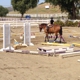 Red Bucket Equine Rescue