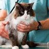 Baldwin Animal Clinic, Inc gallery