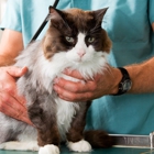 Baldwin Animal Clinic, Inc