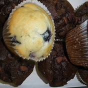 Gallery Image Number 5