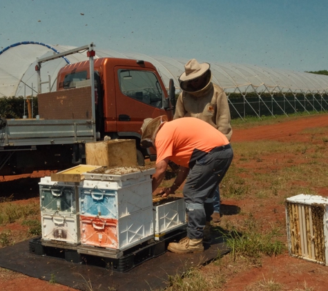 Bonna Apiary