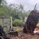 Warrior Tree Service - Arborists