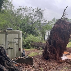 Warrior Tree Service