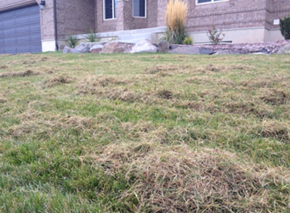 Utah Lawn Aeration - Riverton, UT