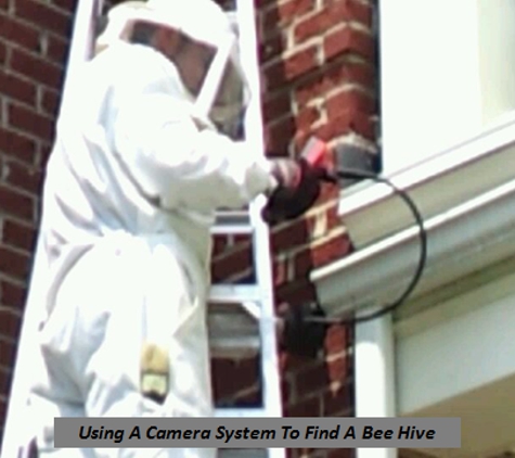 Affordable Extermination Services, Inc - Pittsburgh, PA