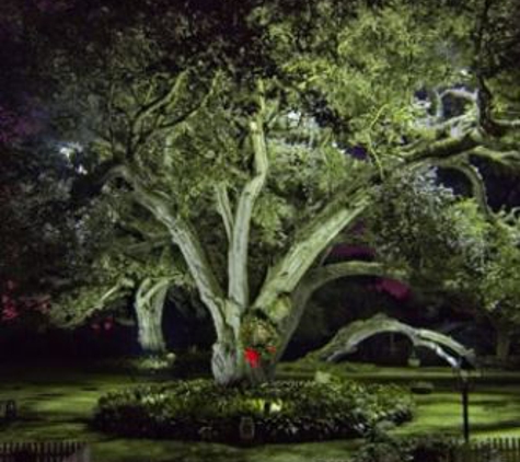 Artistry of Light - Mary T Wiley - Baton Rouge, LA