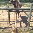 Lewis Farm Market & Petting Farm - Orchards