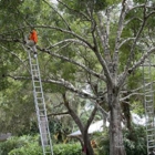 Harmoni Land & Tree Service