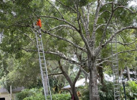 Harmoni Land & Tree Service - Wabasso, FL