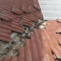 Seal Tight Roofing And Repairs Starting From $199