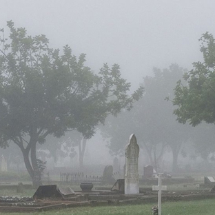France Family Funerals - Nelson Bay, NSW