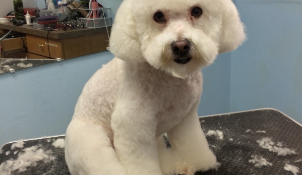 Canine Beach Grooming - Oakland Park, FL