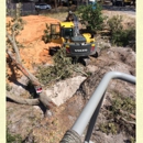 Diven  Tree Services - Tree Service