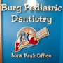 Burg Pediatric Dentistry