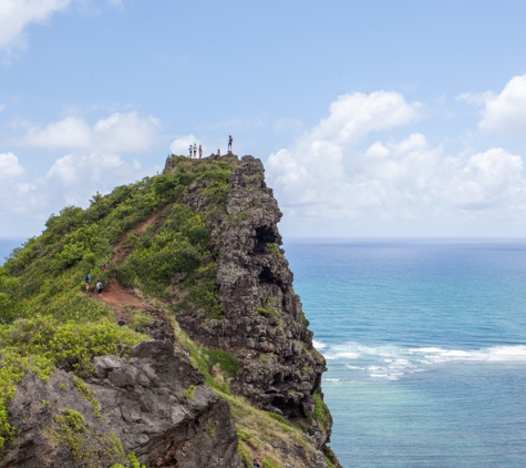 Aloha Surf Tours - Kaaawa, HI